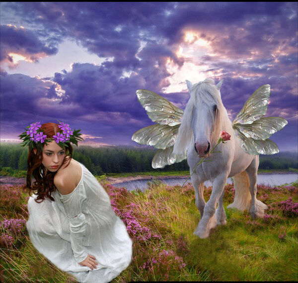 Enchanted Meadow