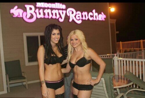 The 500 dollar orgasm