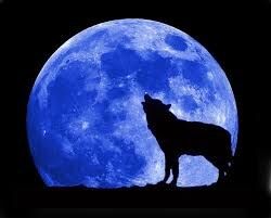 Alone Under the Blue Moon