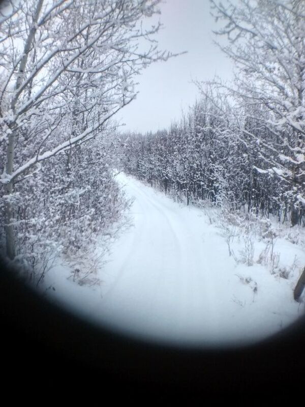 SNOW GLOBE