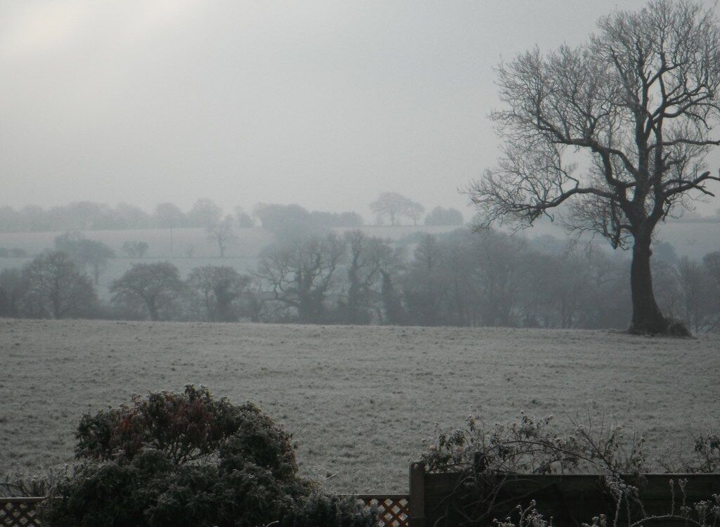 Bleak Day