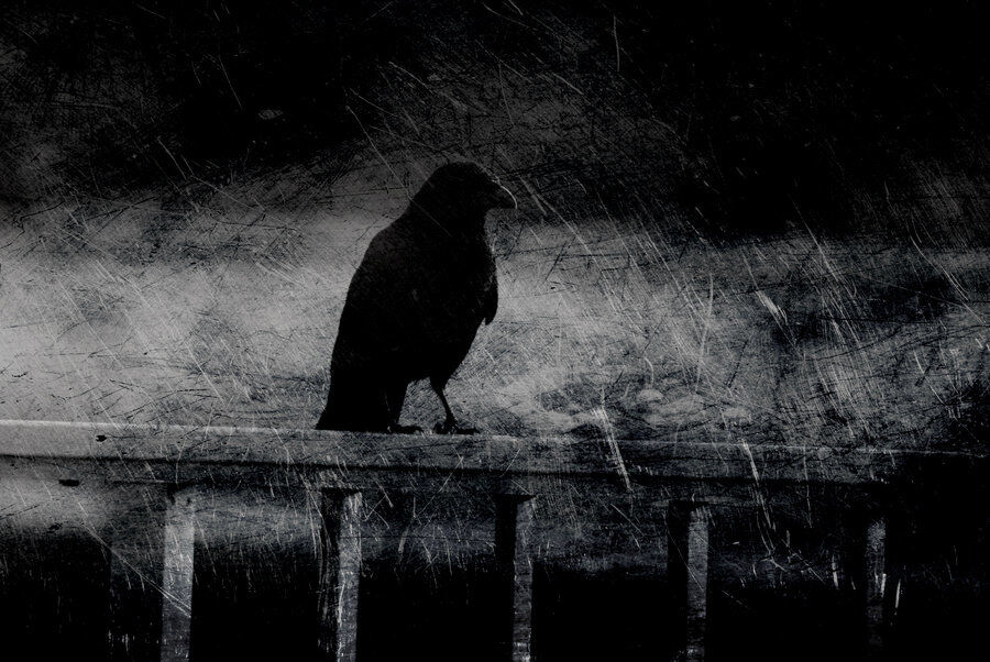 Dark Passenger