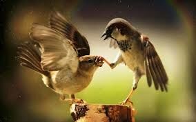 TALK TO THE HAND
