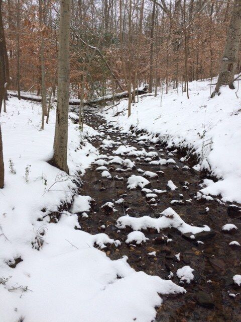 A Winter's Wonderland