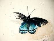 The Broken Butterfly