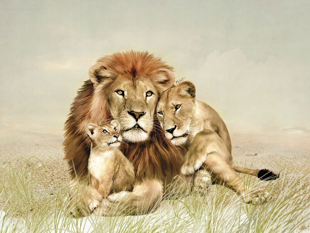 A King and His Princess