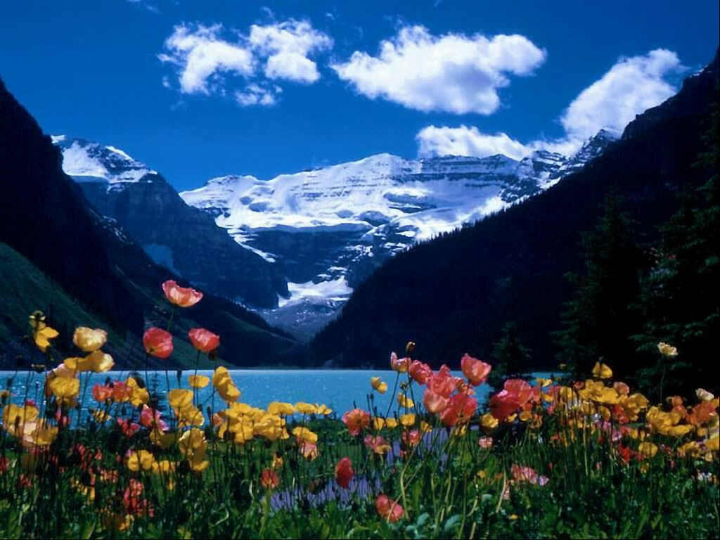 Nature Love