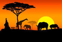 My Africa