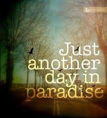 ~My DarK Paradise ~