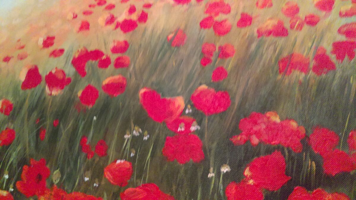 The Poppy