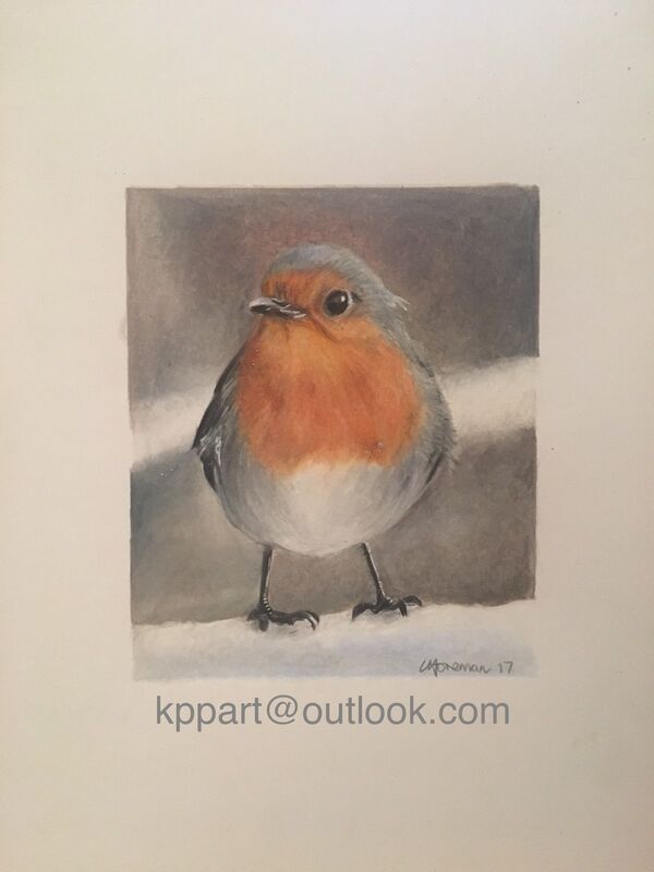 Little Robin red breast 