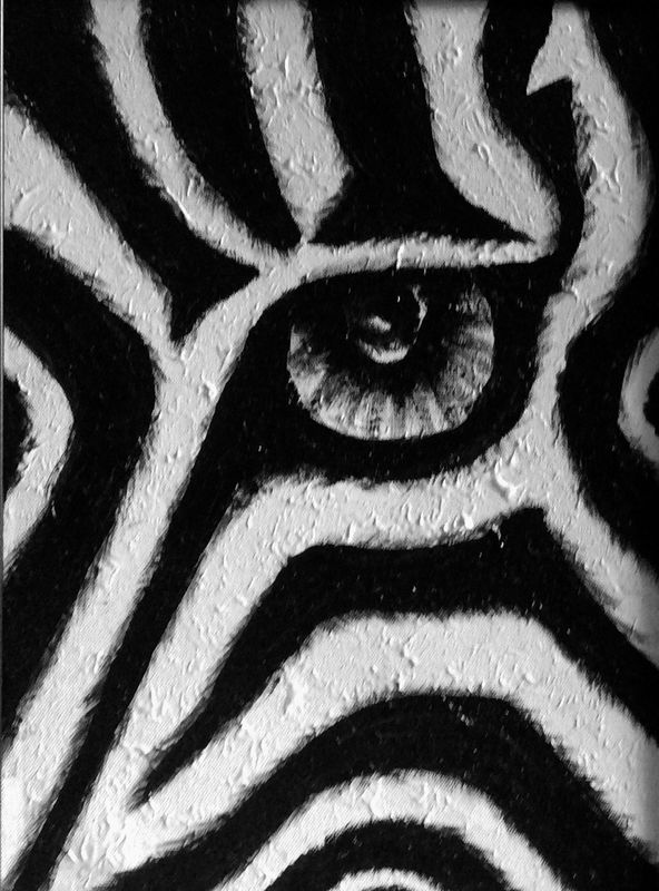 Zebra