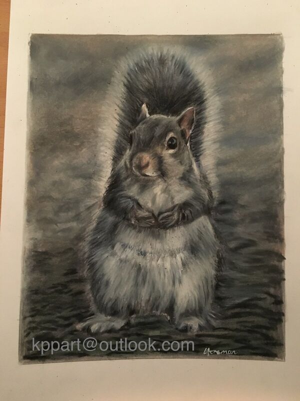 Nonsuch squirrel