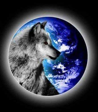 The man in the moon and the wolf