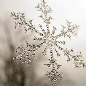 Snowy Day in Winter
