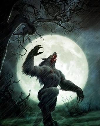 Howl to the moon 