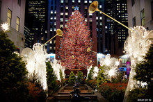 Stella.....A new York love story