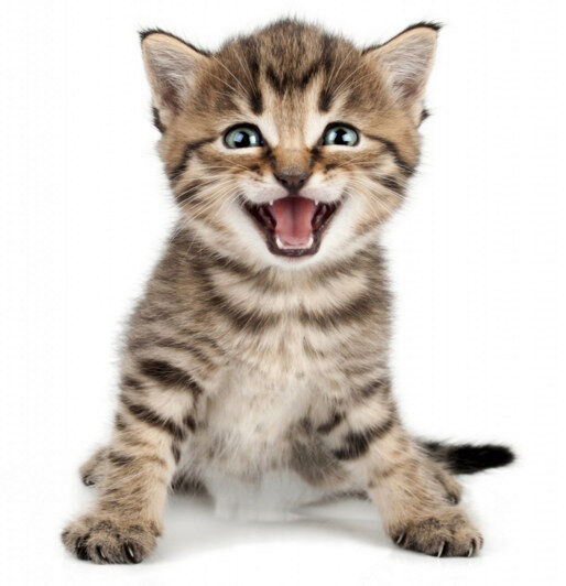 What&#039;s Up With Him?