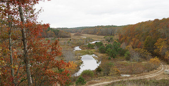 TIDMARSH FARMS