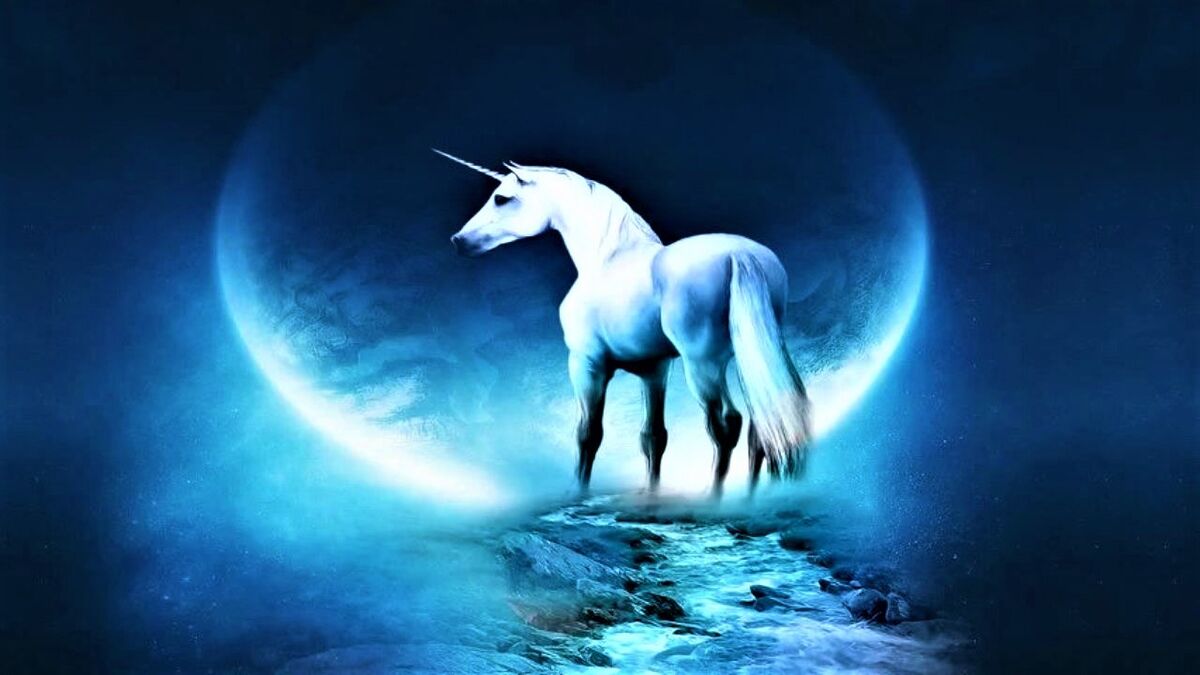 WHATEVER HAPPEN TO THE UNICORNS