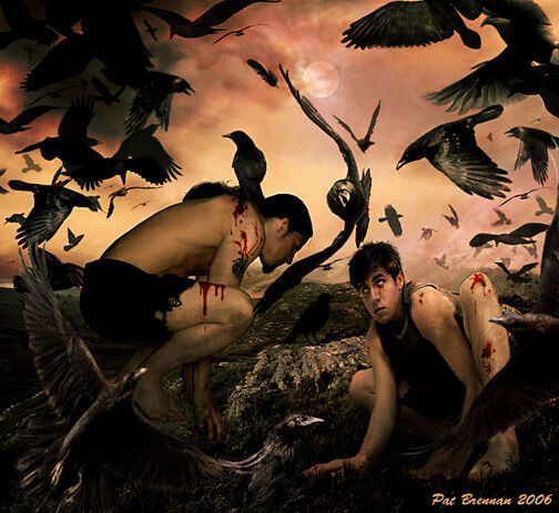 A Murder Of Crows