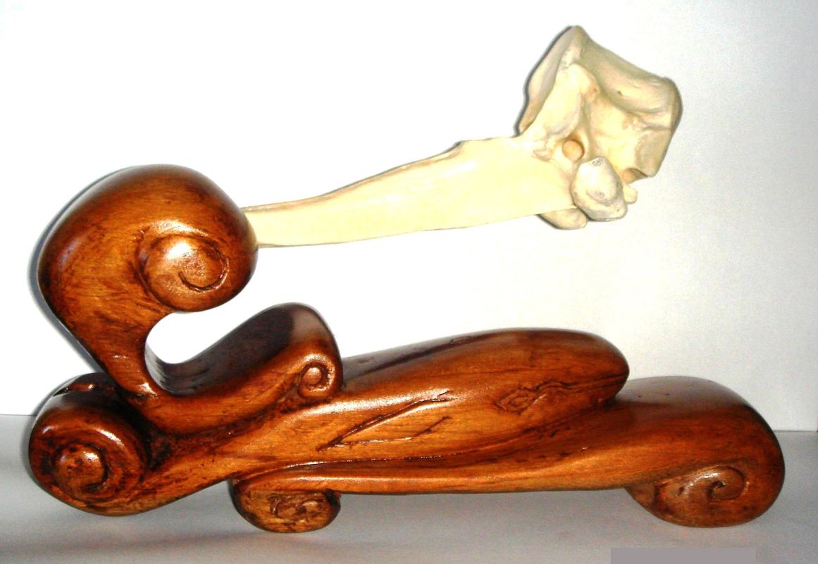 Whale bone inspired