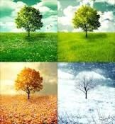 Cyclical Patterns