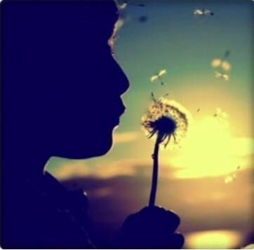 Wishes