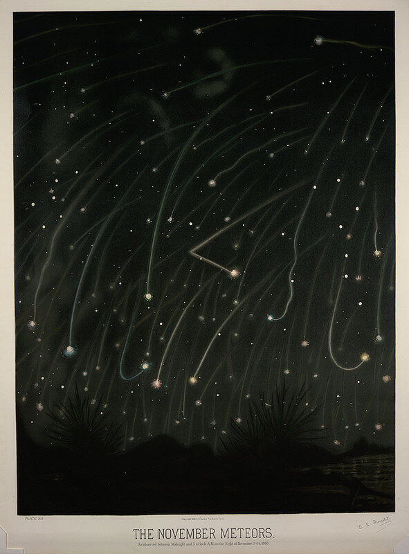 NOVEMBER METEORS