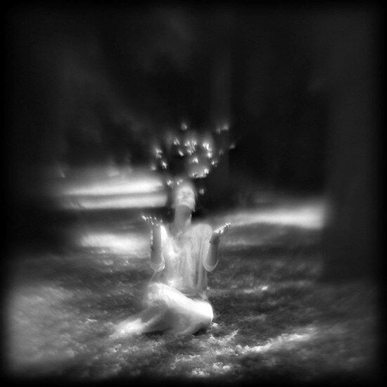 Transience (Dblankportrait&#039;s 15 word challenge) 