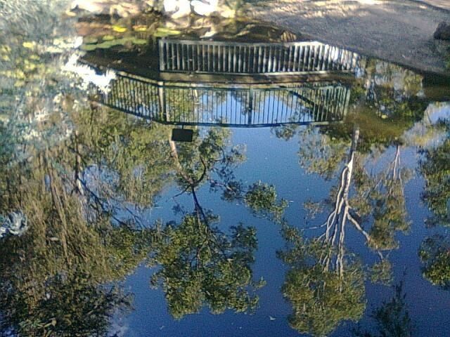 An upside down world