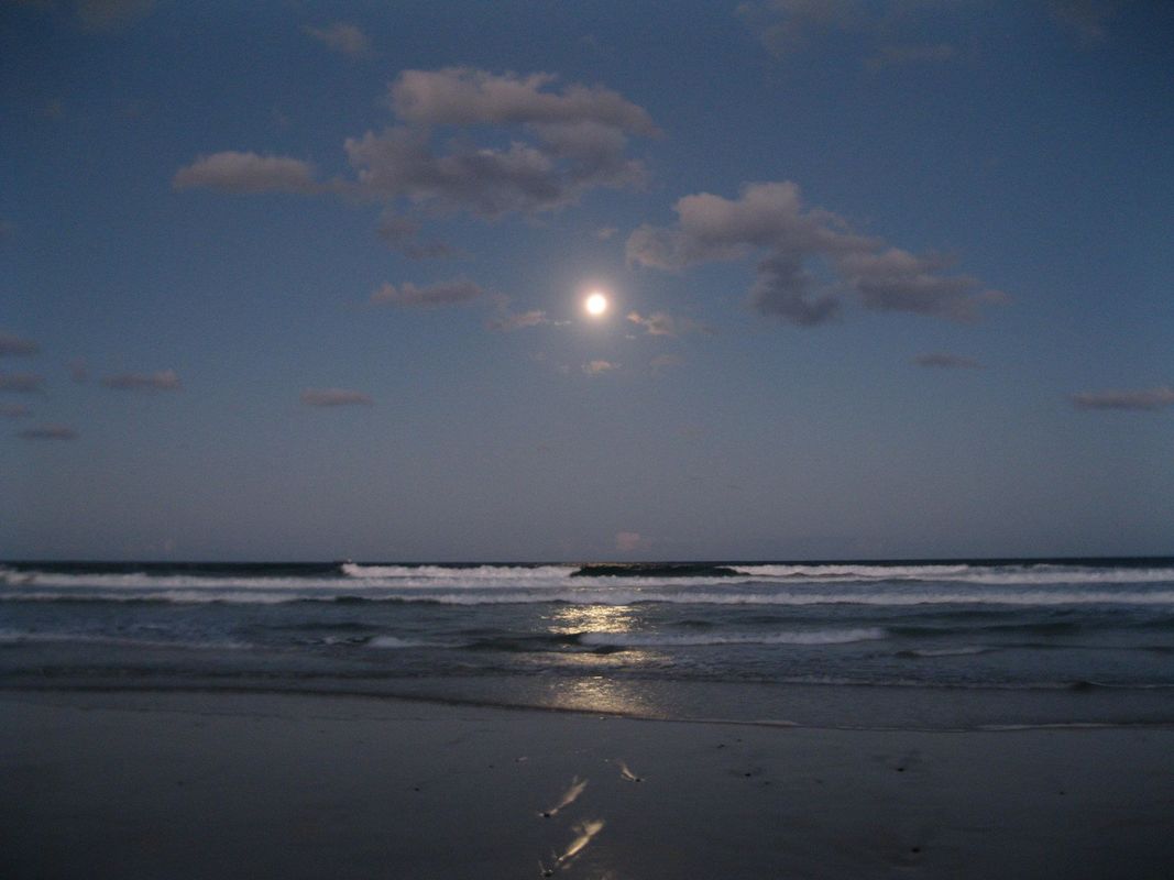 Sharps Beach Skennar&#039;s Head NSW