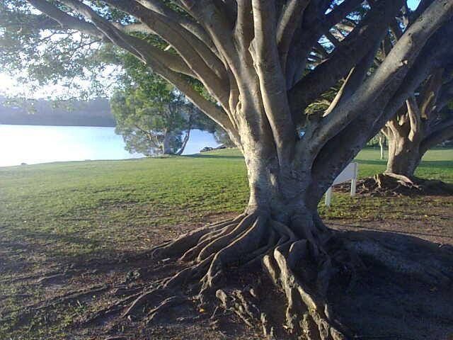 Chinderah NSW