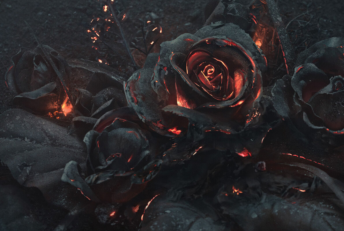 Embers