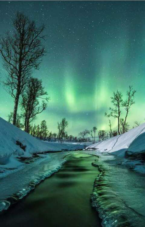 My dreams...forever now