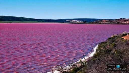 PinK lake