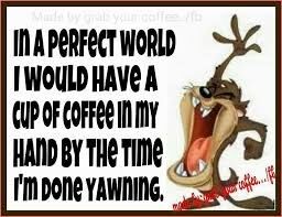 In a Perfect World