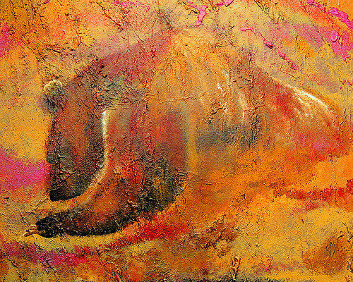 Ursus
