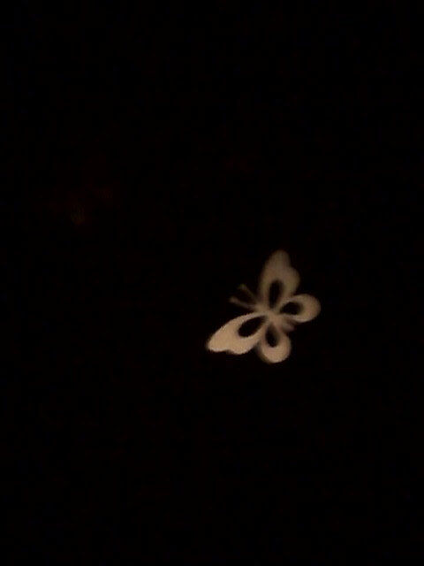 the golden butterfly