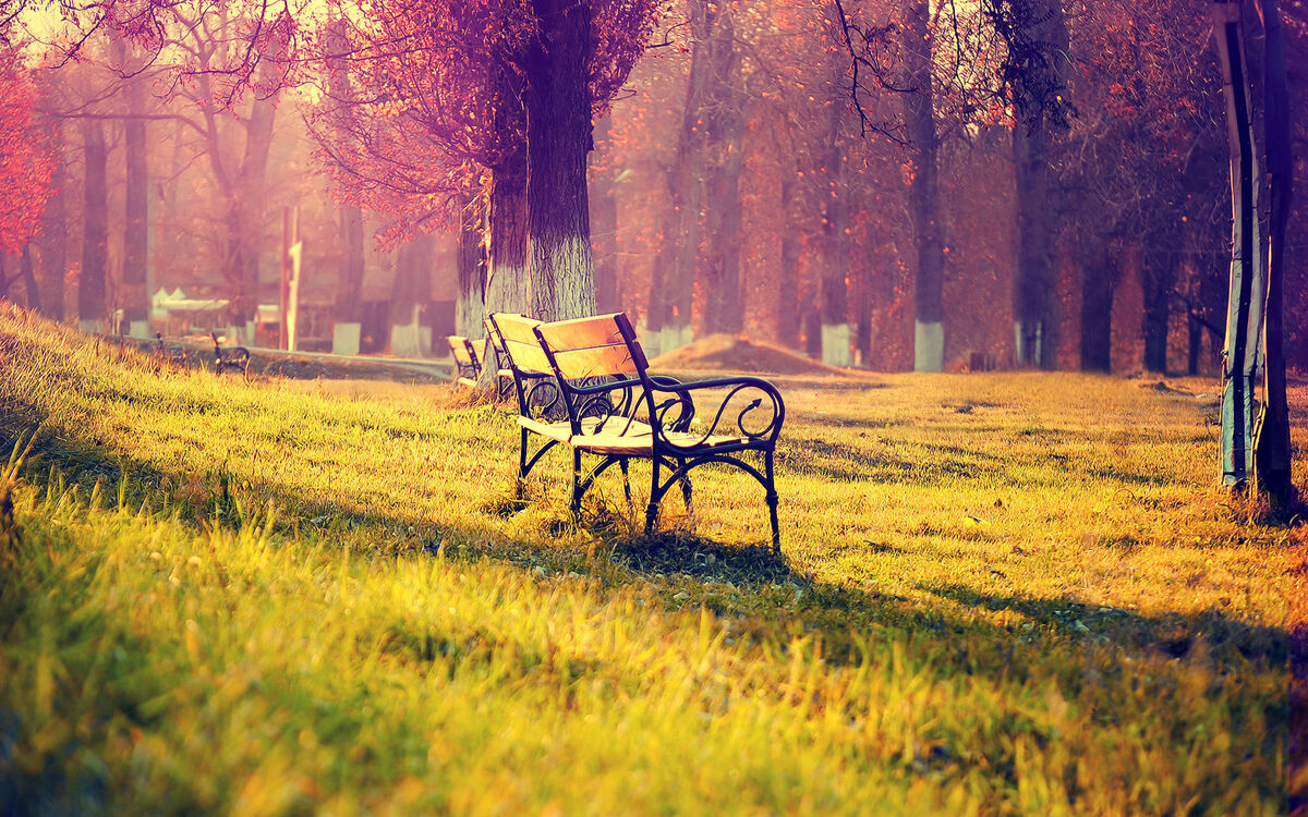 Memories of You