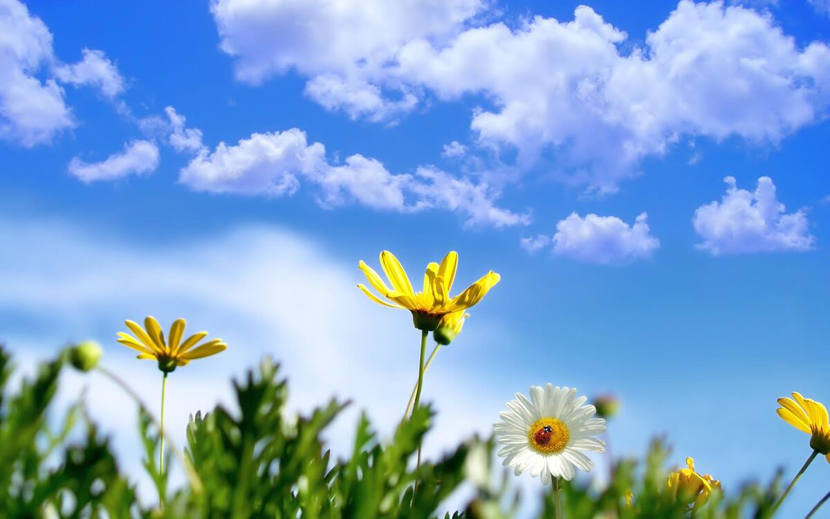 The Sound of Spring