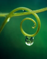 Droplet