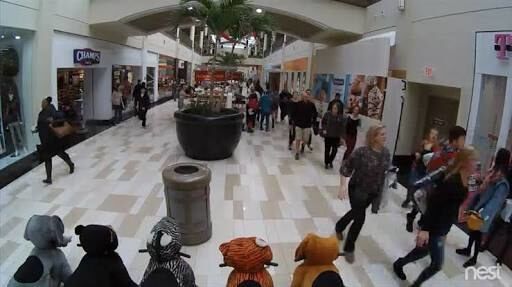 Mall shooting