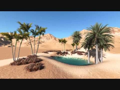 Oasis