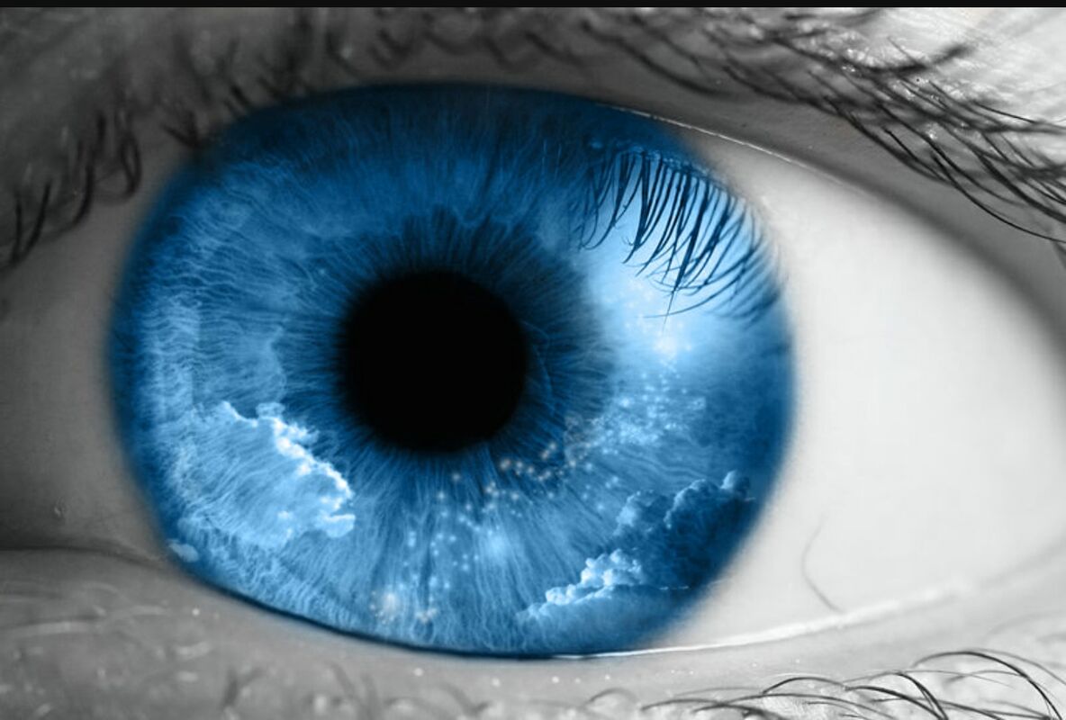Search Of Reality
