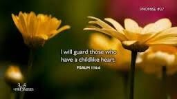 CHILDLIKE HEART