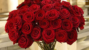 A Bunch of Roses