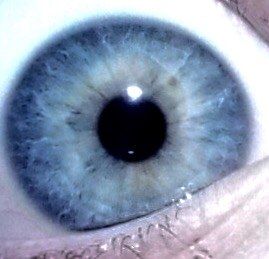 my eye