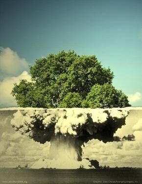 False Judgement