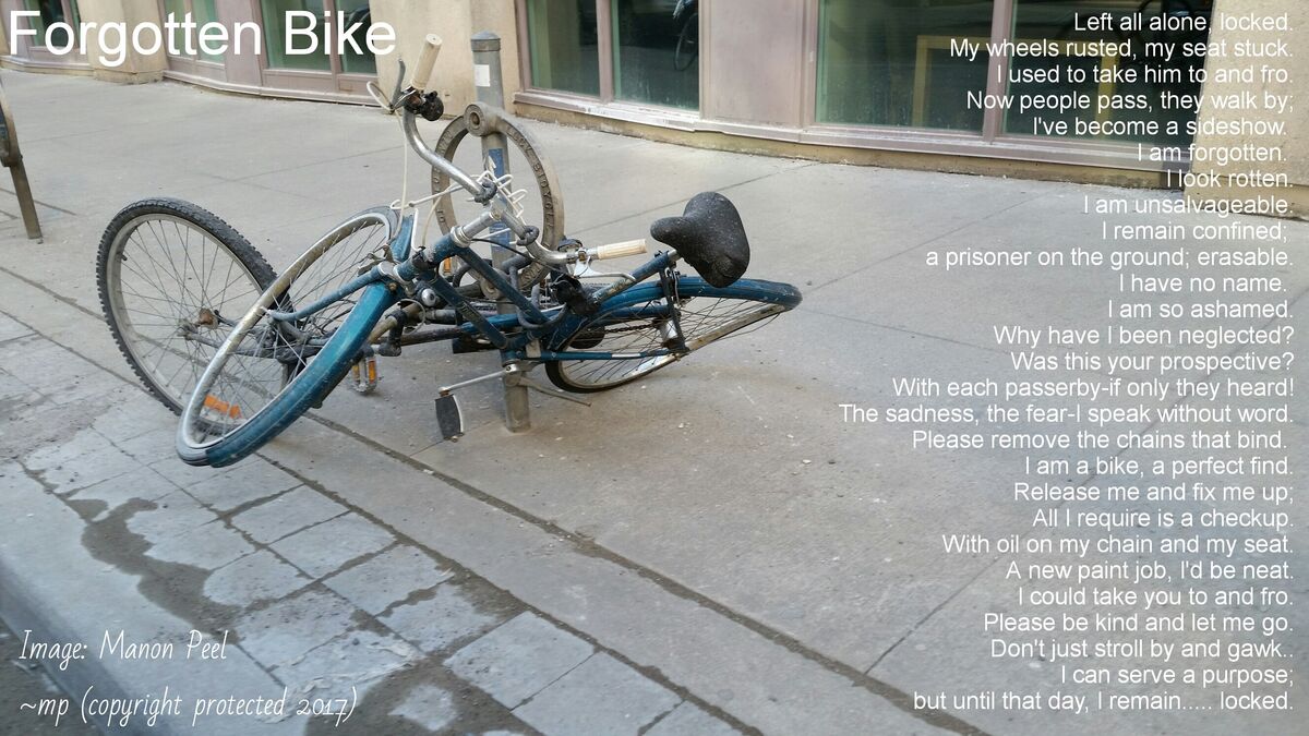 Forgotten Bike